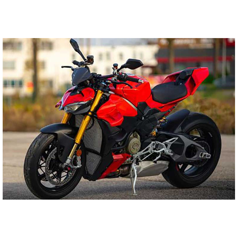 PARE-BRISE POUR DUCATI STREETFIGHTER V4 MY2025 - CARBONE