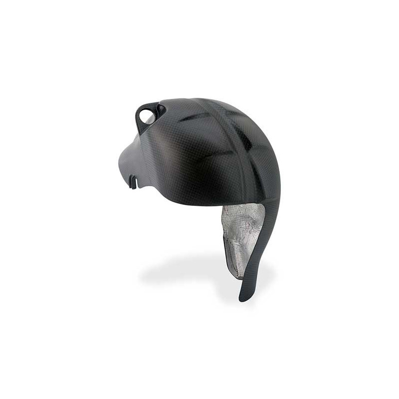 PARECHALEUR CARBONE CNC RACING DUCATI STREETFIGHTER V4 MAT