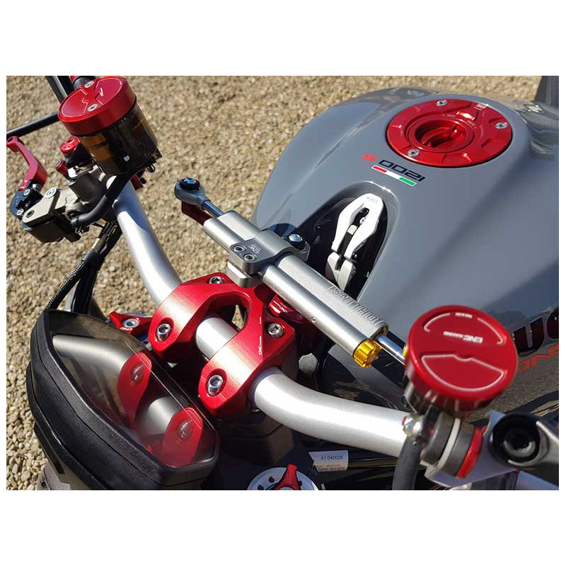 Pontet supérieur et support amortisseur Ducati Monster 1200