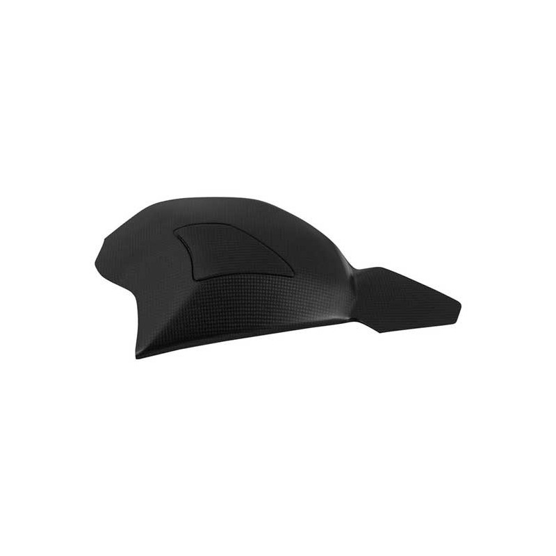PROTECTION BRAS OSCILLANT CARBONE LIGHTECH DUCATI