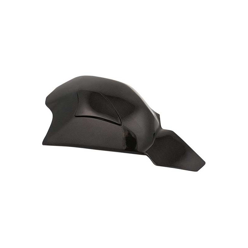 PROTECTION BRAS OSCILLANT CARBONE LIGHTECH DUCATI