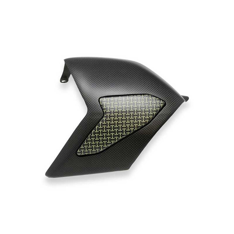 PROTECTION BRAS OSCILLANT CARBONE MAT ET KEVELAR CNC RACING PANIGALE V4