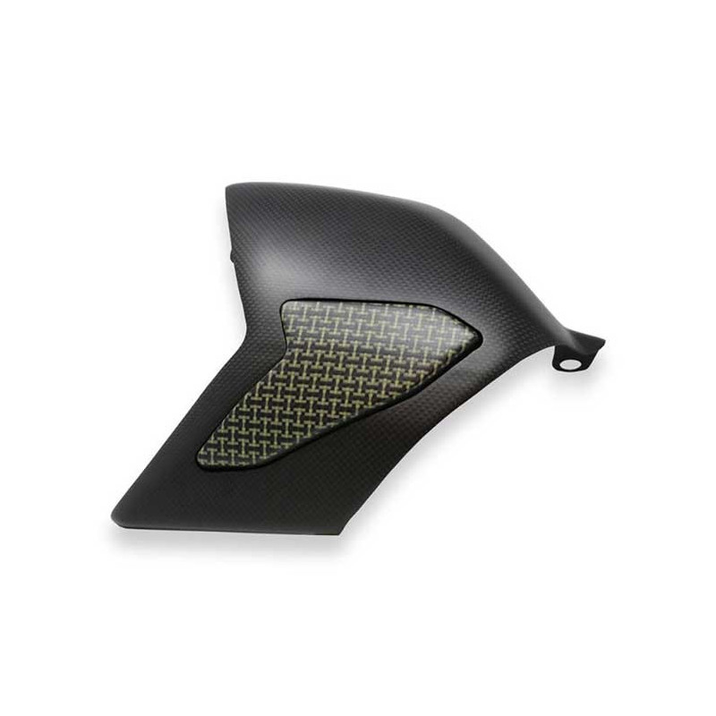 PROTECTION BRAS OSCILLANT CARBONE MAT ET KEVELAR CNC RACING PANIGALE V4