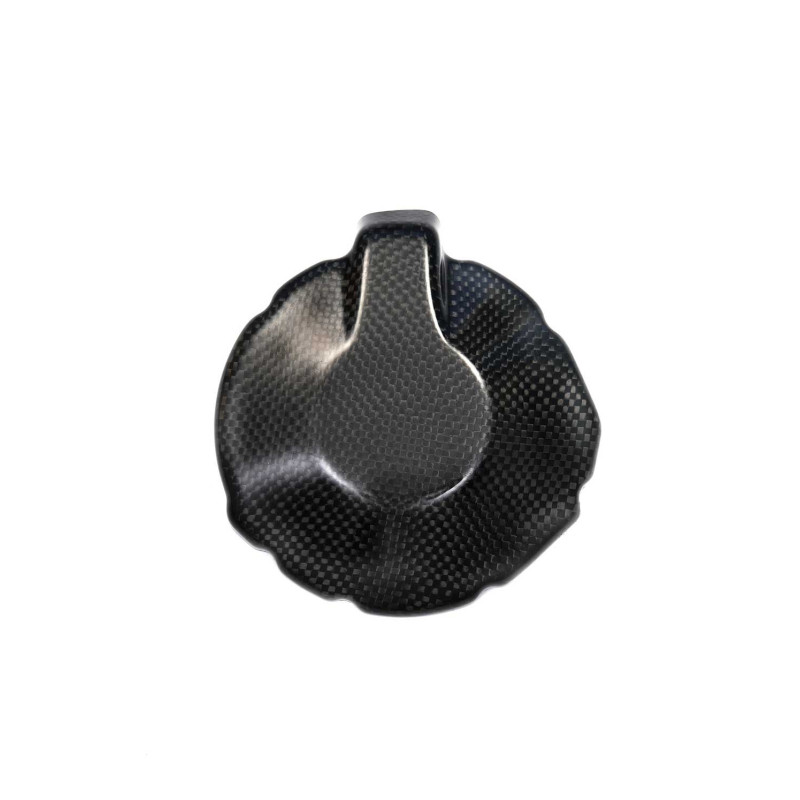 Protection carter alternateur carbone ( montage silicone )