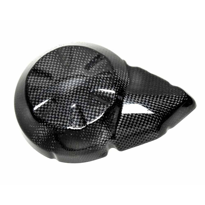 Protection carter alternateur carbone ( montage silicone )