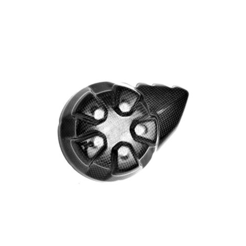 Protection carter alternateur carbone ( montage silicone )