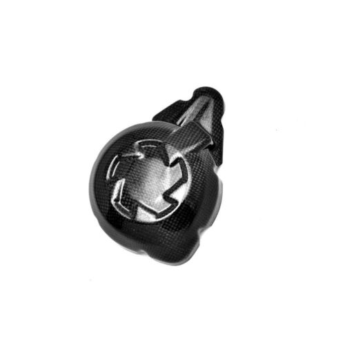 Protection carter alternateur carbone ( montage silicone )