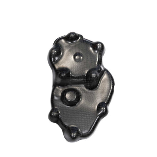 Protection carter démarreur carbone ( montage silicone )