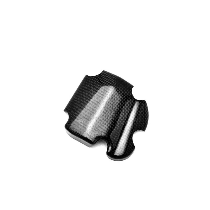 Protection carter démarreur carbone ( montage Silicone )
