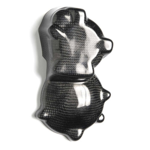 Protection carter démarreur carbone ( montage silicone )