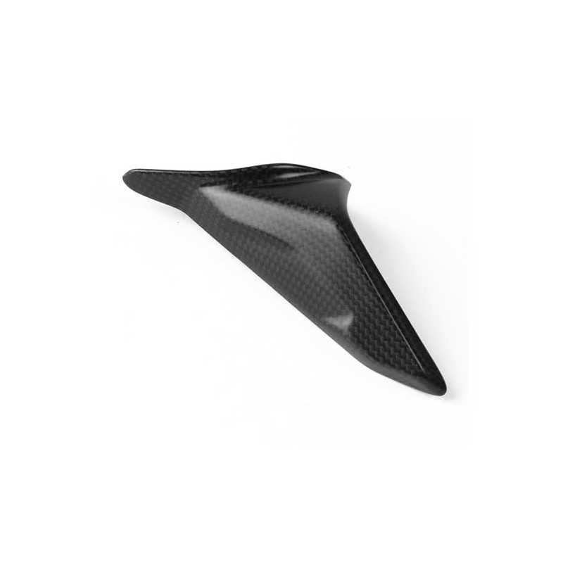 PROTECTION CHAINE INFÉRIEUR CARBONE LIGHTECH DUCATI