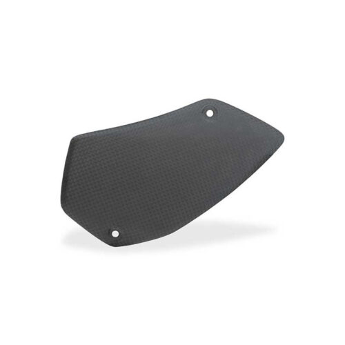 PROTECTION DE BRAS OSCILLANT CARBONE MAT CNC RACING Ducati Multistrada V4 Pikes