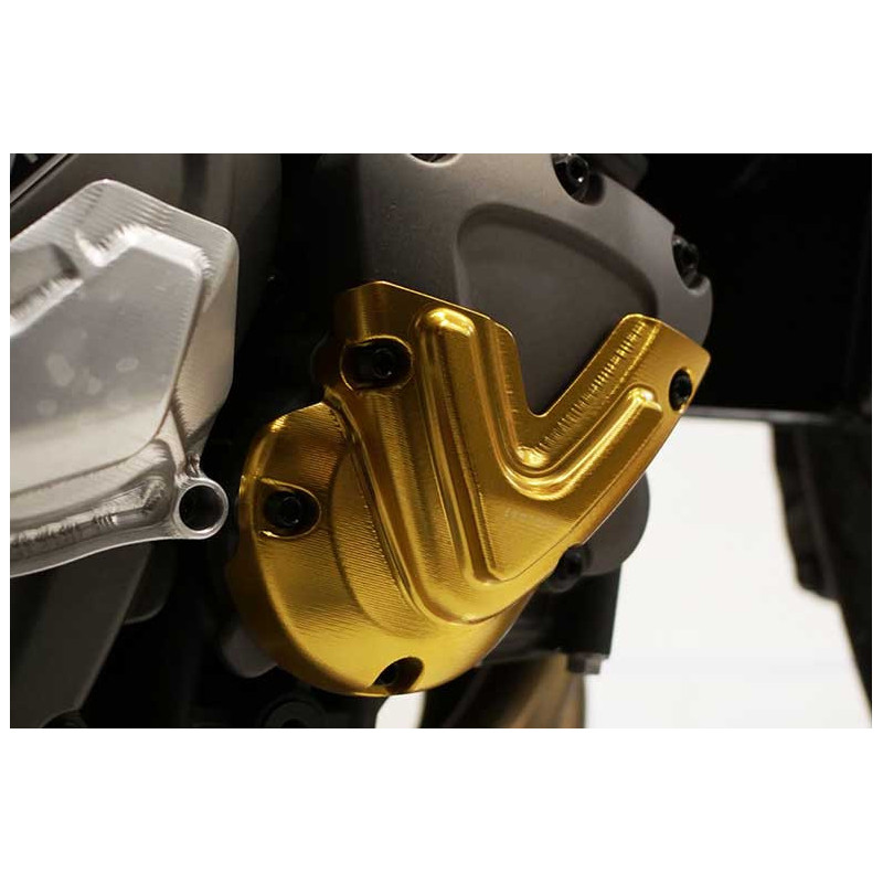 PROTECTION DE MOTEUR PICK UP GAUCHE TRIUMPH SPEED 1200 RS