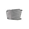 protection-de-radiateur-aprilia-dorsoduro-750-2008-2017 PROTECTION DE RADIATEUR APRILIA DORSODURO 750 (2008-2017)