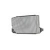 PROTECTION DE RADIATEUR KAWASAKI VULCAN 650 S (2015+) PROTECTION DE RADIATEUR KAWASAKI VULCAN 650 S (2015+)