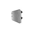 protection-de-radiateur-yamaha-xsr-900-2016 PROTECTION DE RADIATEUR YAMAHA XSR 900 (2016+)