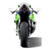 PROTECTION DE ROUE ARRIERE EVOTECH PERFORMANCE KAWASAKI ZX6R 2024/*