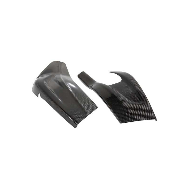 PROTECTIONS BRAS OSCILLANT CARBONE BRILLANT LIGHTECH BMW