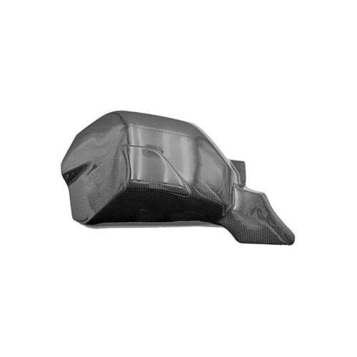 PROTECTIONS BRAS OSCILLANT CARBONE LIGHTECH DUCATI