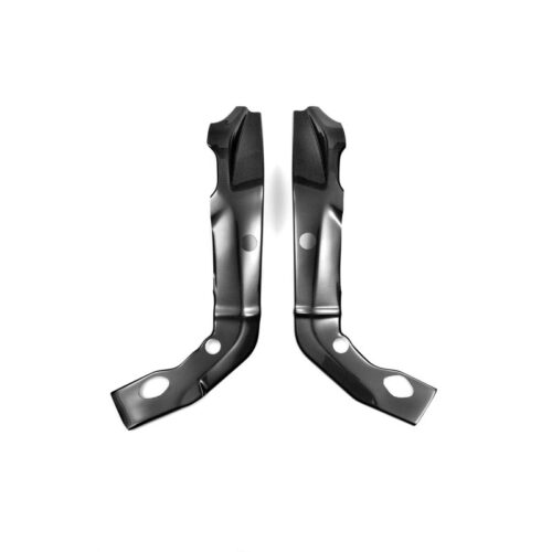 Protections cadre carbone ( montage silicone )