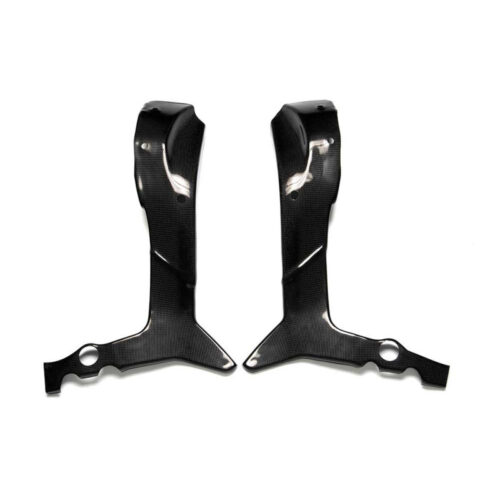Protections cadre carbone ( montage silicone )