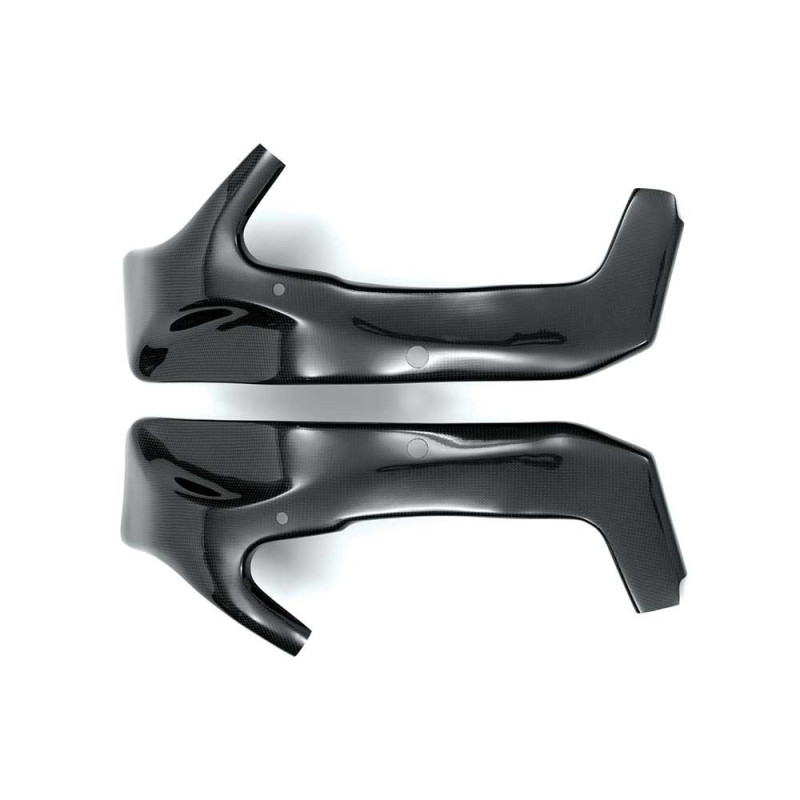 Protections cadre carbone ( montage silicone ) Protections cadre carbone ( montage silicone )
