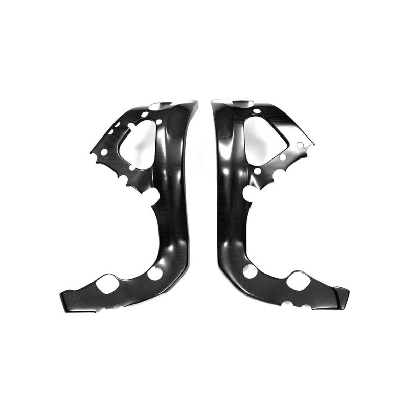 Protections cadre carbone ( montage silicone ) Protections cadre carbone ( montage silicone )