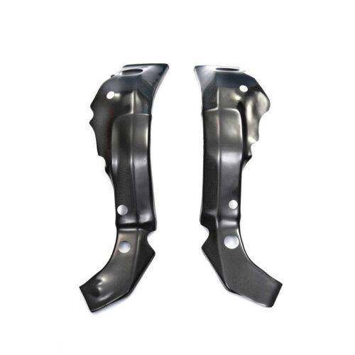 Protections cadre carbone ( montage silicone )