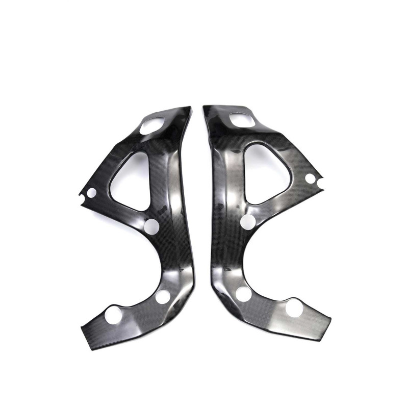 Protections cadre carbone ( montage silicone ) Protections cadre carbone ( montage silicone )