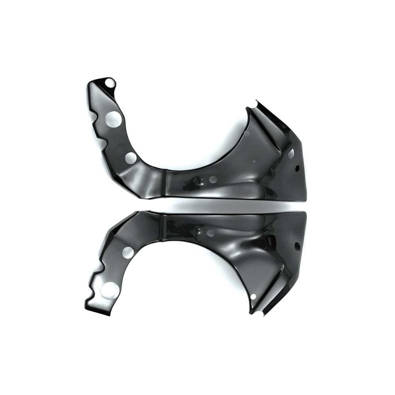 Protections cadre carbone ( montage silicone )