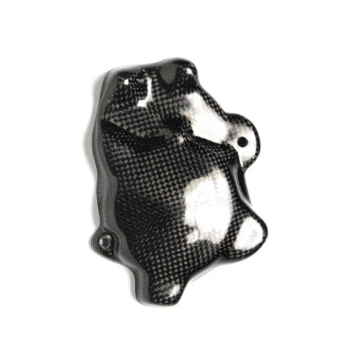 Protections carter alternateur carbone (montage vis)