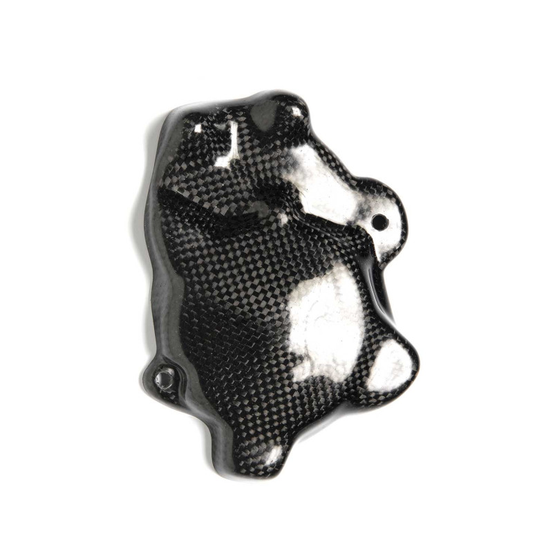 Protections carter alternateur carbone (montage vis) Protections carter alternateur carbone (montage vis)