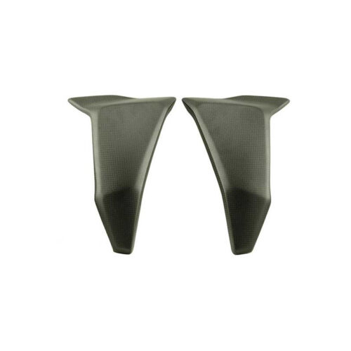 PROTECTIONS LATÉRALES RADIATEUR CARBONE LIGHTECH DUCATI