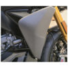 PROTECTIONS RADIATEUR LATERALES CARBONE CNC RACING STREETFIGHTER V2 2025