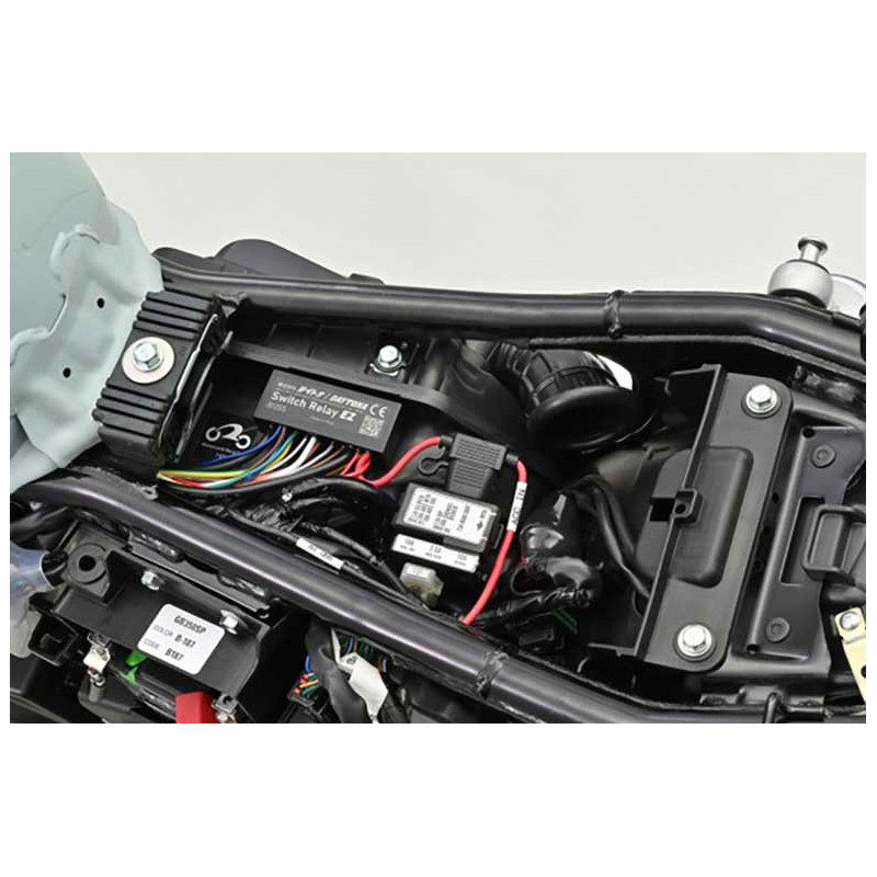 relay-switch-daytona RELAY SWITCH DAYTONA