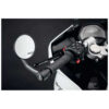 retroviseurs-d-embout-de-guidon-ep-protection-de-frein-retro-triumph-track RÉTROVISEURS D'EMBOUT DE GUIDON EP / PROTECTION DE FREIN (RÉTRO) - TRIUMPH TRACK