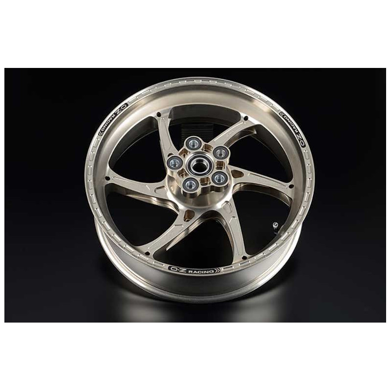 ROUE ARRIERE OZ 6.00X17 GASS RSA DUCATI PANIGALE V4 2025/*