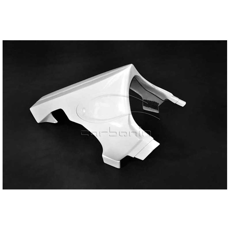 Sabot carbone (5 Dzus)