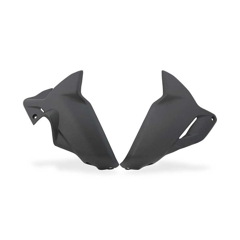 SABOT MOTEUR CARBONE MAT CNC RACING DUCATI DIAVEL V4