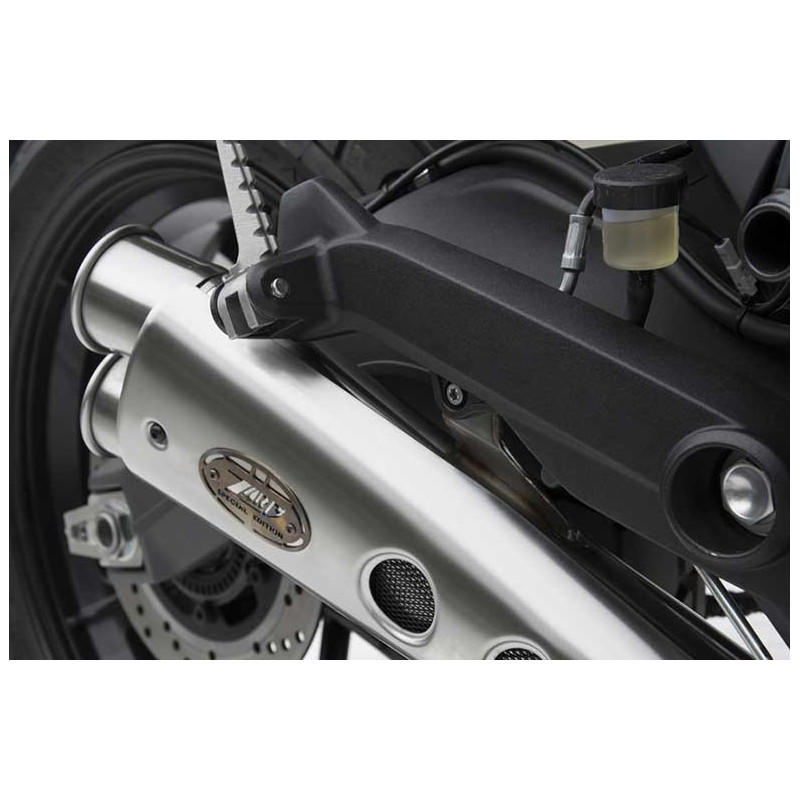 SILENCIEUX INOX ZARD DUCATI SCRAMBLER 800