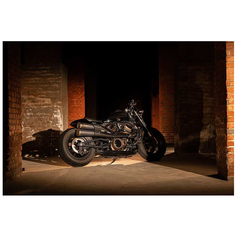 SILENCIEUX ZARD TOP GUN HARLEY DAVIDSON SPORTSTER S 1250