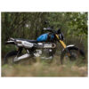 SILENCIEUX ZARD TRIUMPH SCRAMBLER 2022