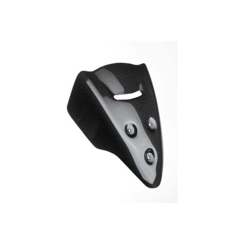 SUPPORT DE COMPTEUR CARBONE LIGHTECH DUCATI