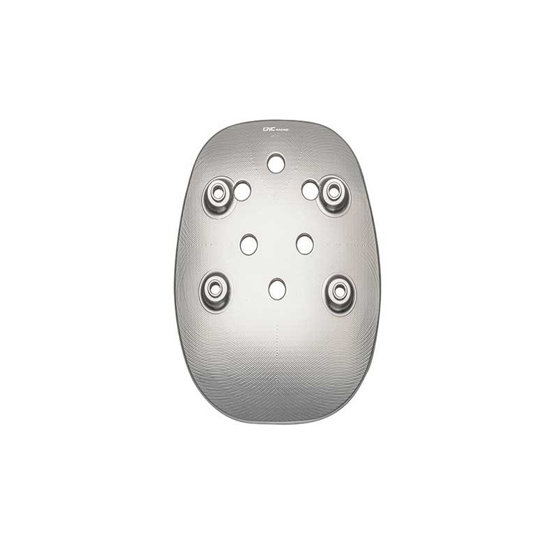 Support de plaque roue arrière Ducati XDiavel/Diavel