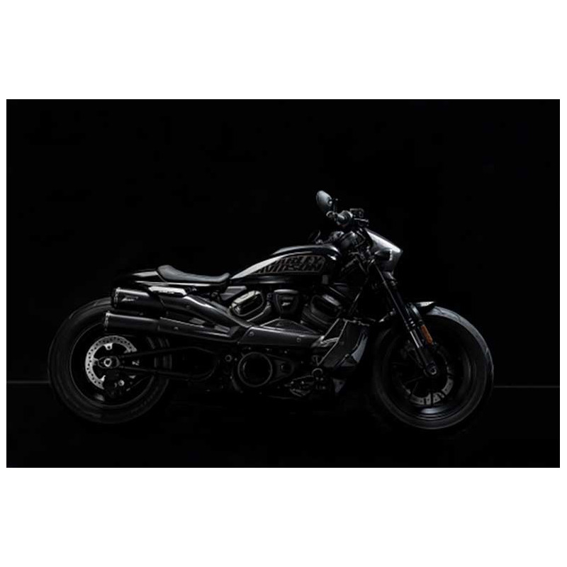 TÊTE DE FOURCHE CARBONE ZARD