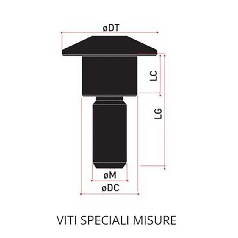 VIS ERGAL SPECIALE
