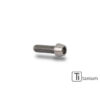VIS M6X20 TITANE