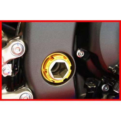 YAMAHA R1 / MT10 ECROU AXE DE BRAS OSCILLANT DROIT EVOTECH