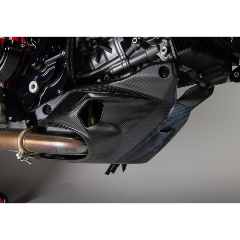 SABOT MOTERU CARBONE DUCATI MULTISTRADA V2 2025-2026